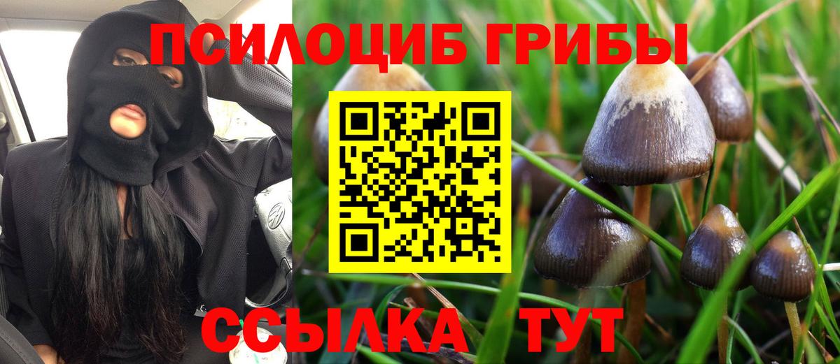 Псилоцибиновые грибы MAGIC MUSHROOMS Москва