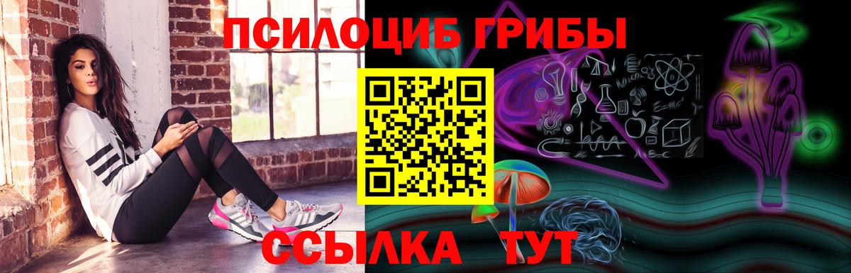 Галлюциногенные грибы MAGIC MUSHROOMS  Псилоцибиновые грибы Magic Shrooms  Москва  Вход с VPN 